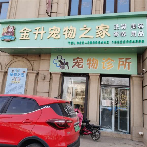 金升狗狗:天津城区静海区