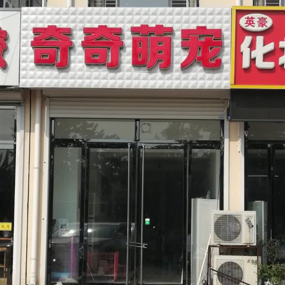 奇奇萌宠:天津城区蓟州区