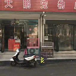 大鹏宠物店:天津城区蓟州区