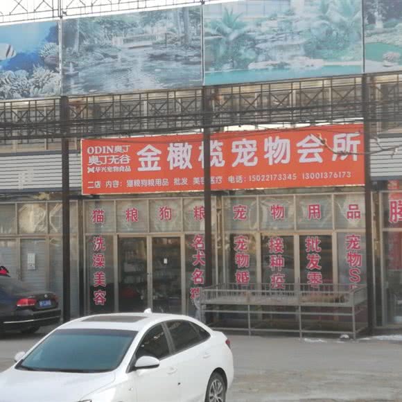 金橄榄宠物会所:天津城区蓟州区