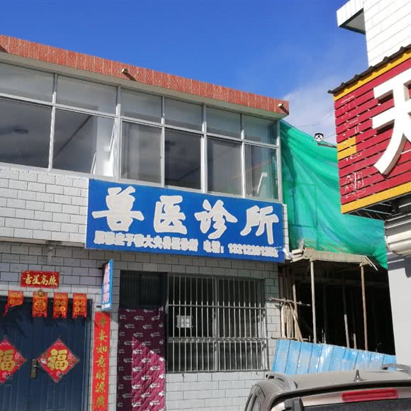 兽医诊所:天津城区蓟州区