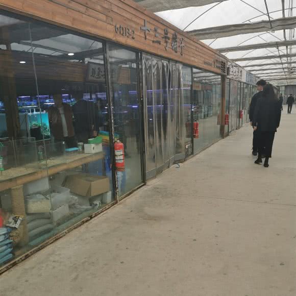 十三号铺子:石家庄市长安区