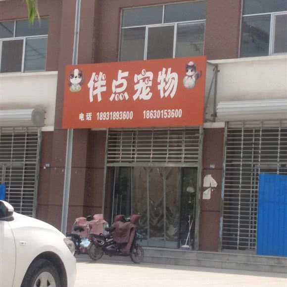 伴点宠物:石家庄市长安区