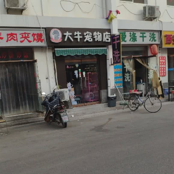 大牛宠物店:石家庄市桥西区