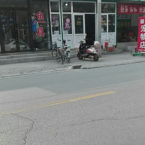 爱宠宠物之家:石家庄市桥西区