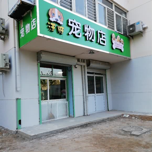 汪汪宠物店:石家庄市桥西区