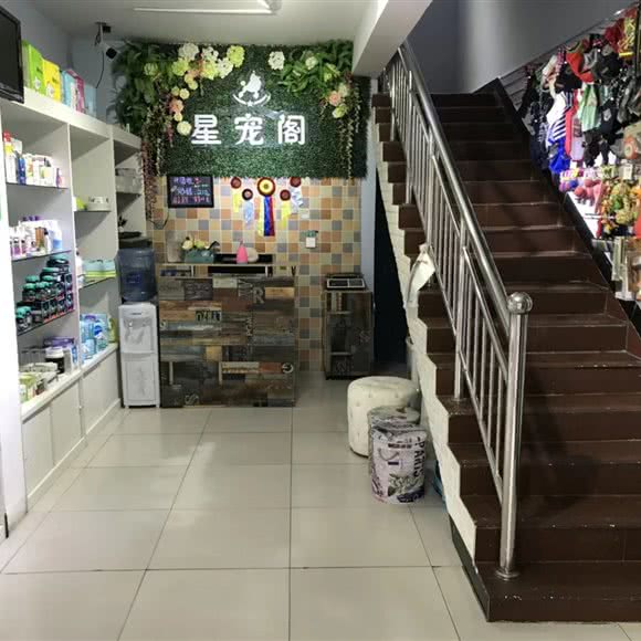 星宠阁:石家庄市桥西区