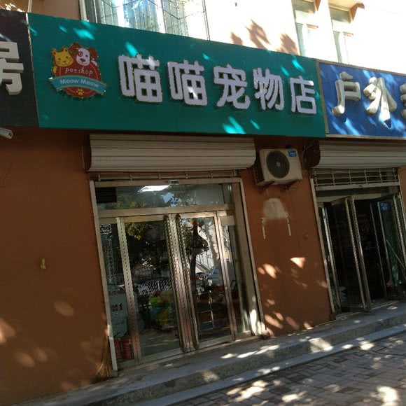 喵喵宠物店:邢台市襄都区开元南路附近
