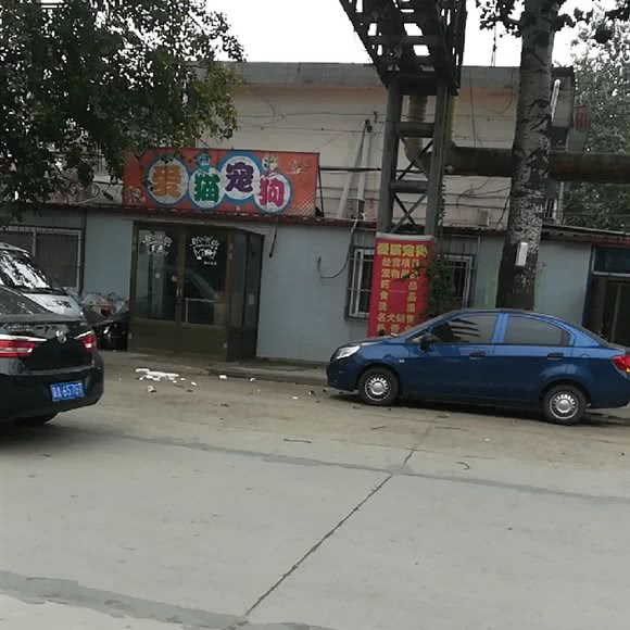 爱猫宠狗:石家庄市新华区