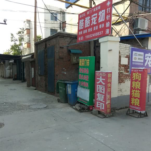 酷酷宠物:邢台市襄都区开元南路附近