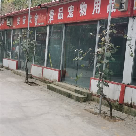 壹品宠物用品:石家庄市新华区