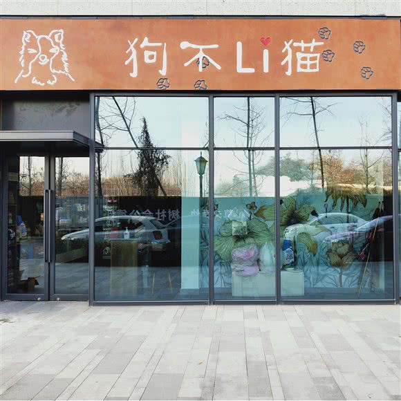 狗不Li猫·猫不理狗宠物宠咖:石家庄市裕华区
