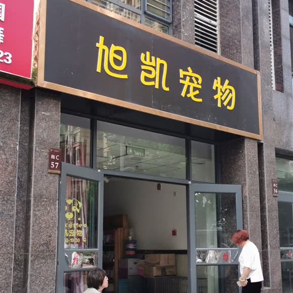旭凯宠物:石家庄市裕华区