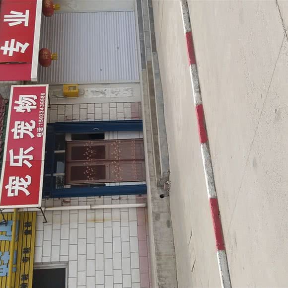 宠乐宠物:石家庄市藁城区