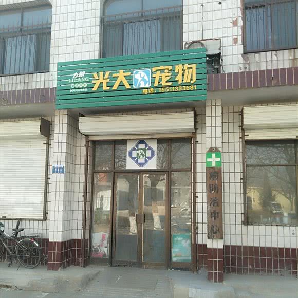 光大宠物:石家庄市藁城区