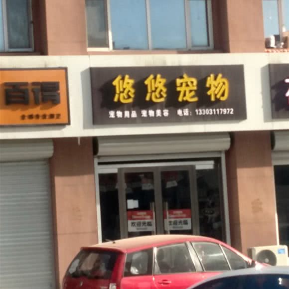 悠悠宠物:石家庄市藁城区