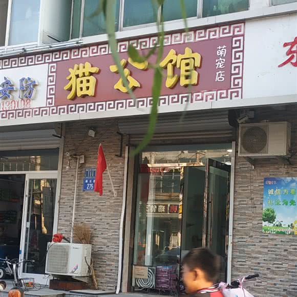 猫公馆:石家庄市藁城区