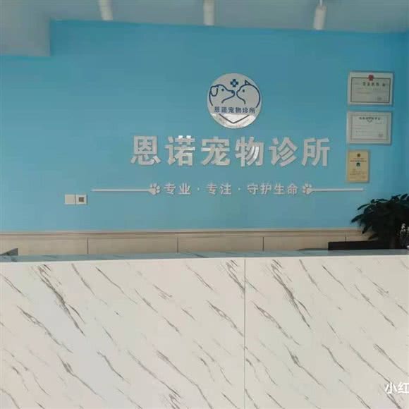 恩诺宠物诊所(藁城店):石家庄市藁城区