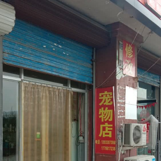 宠物店:石家庄市鹿泉区
