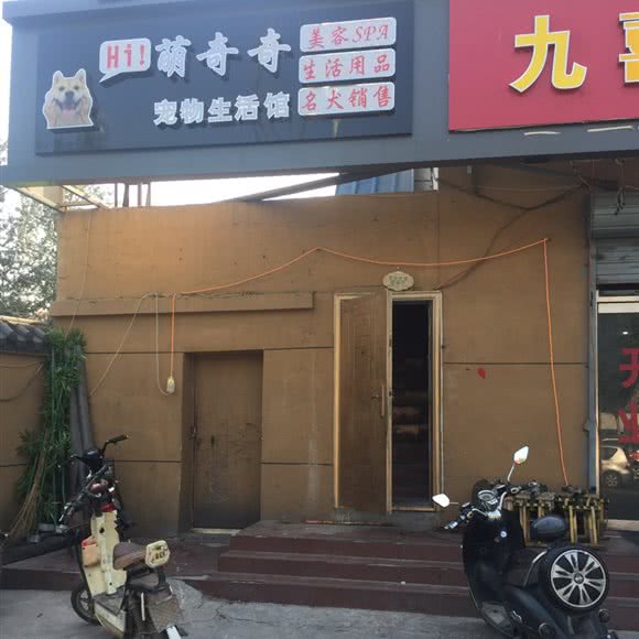 萌奇奇宠物生活馆:石家庄市鹿泉区