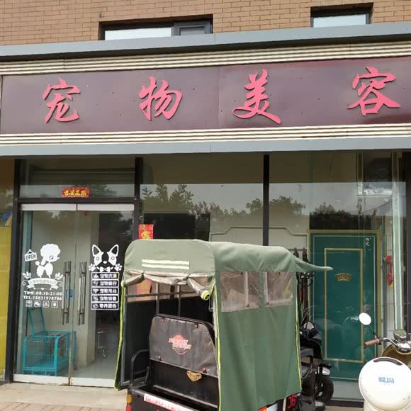 宠物美容:石家庄市鹿泉区