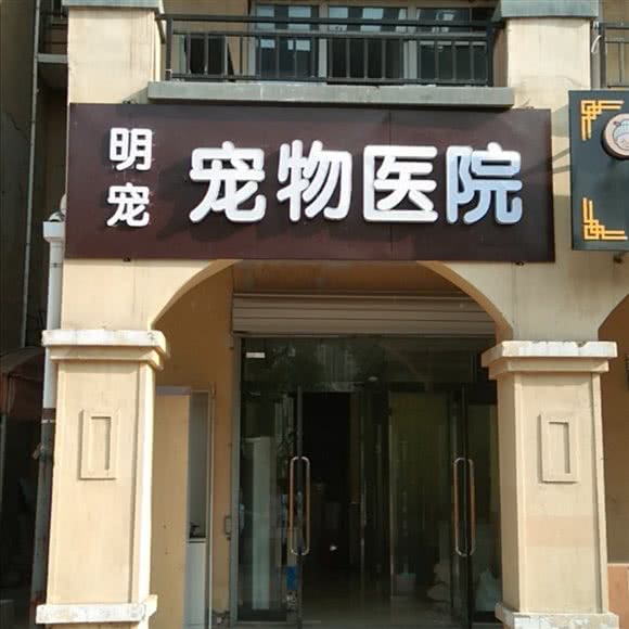 明宠宠物医院:邢台市襄都区襄都北路附近