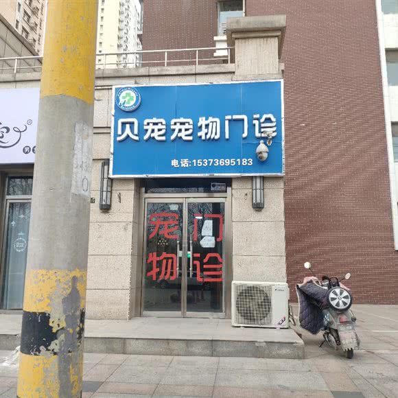贝宠宠物门诊:石家庄市栾城区