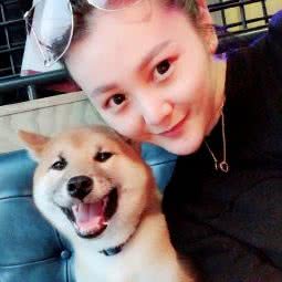 雷瑟柴犬:石家庄市井陉县