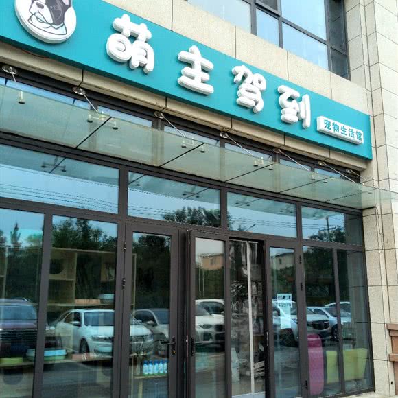 萌主驾到:邢台市信都区万城新天地附近