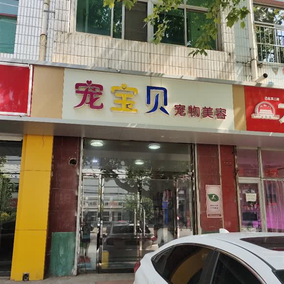 宠宝贝宠物美容:石家庄市正定县