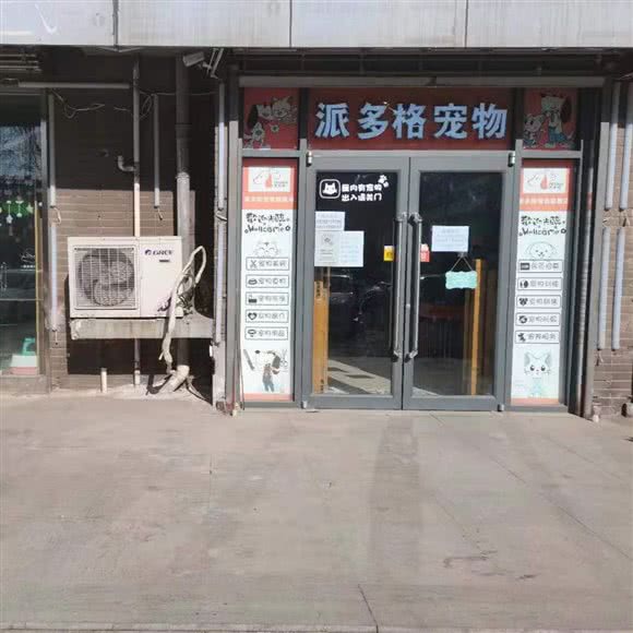 派多格宠物(燕云台旗舰店):邢台市信都区万城新天地附近