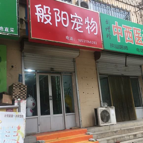 般阳宠物:石家庄市行唐县