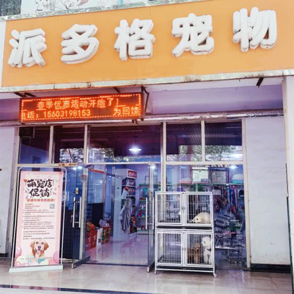 派多格宠物连锁店:邢台市信都区万城新天地附近