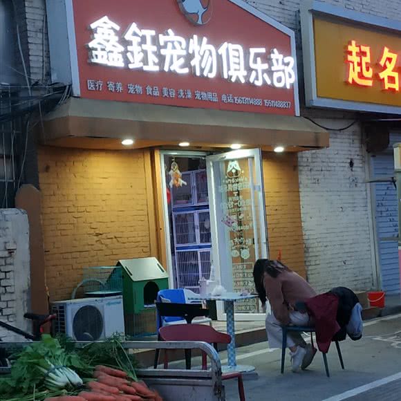 鑫钰宠物俱乐部:石家庄市行唐县