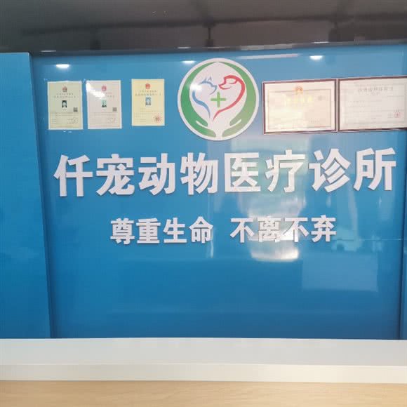仟宠动物医疗:邢台市信都区万城新天地附近