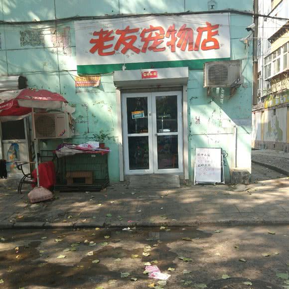 老友宠物店:邢台市信都区北国商城附近