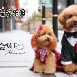 星宠乐园(体育馆店):邢台市信都区北国商城附近