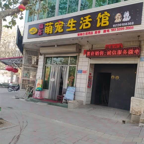 福鑫萌宠生活馆:石家庄市赞皇县