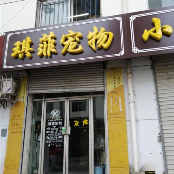 琪菲宠物:邢台市信都区索库奥莱附近