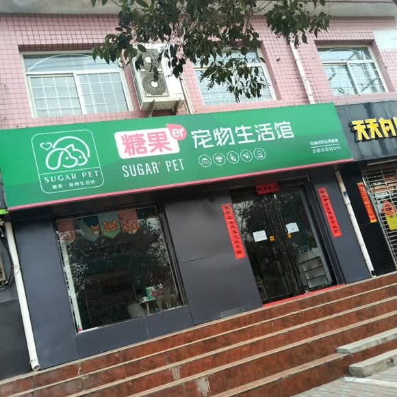 糖果宠物狗生活馆:邢台市信都区公园东街附近