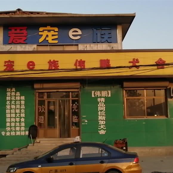 爱宠e族:石家庄市元氏县