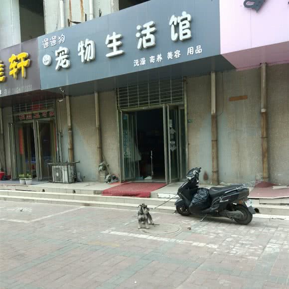 溜溜狗宠物生活馆:邢台市信都区公园东街附近