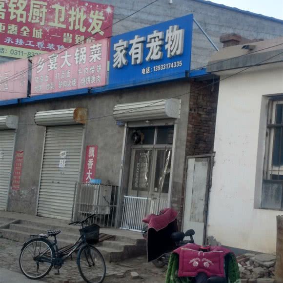 家有宠物:石家庄市辛集市