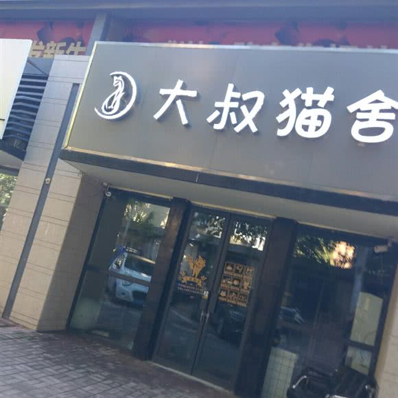 大叔猫舍:邢台市信都区钢铁北路附近
