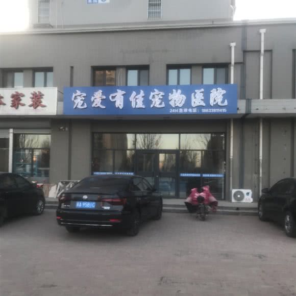 宠爱有佳宠物医院:石家庄市辛集市