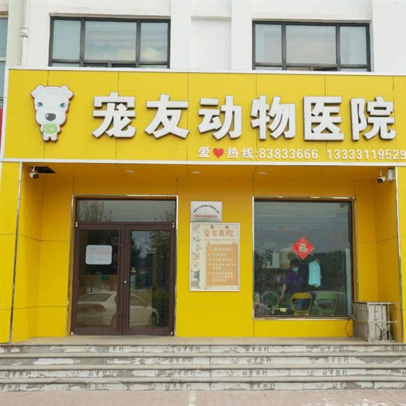 宠友动物医院:石家庄市辛集市