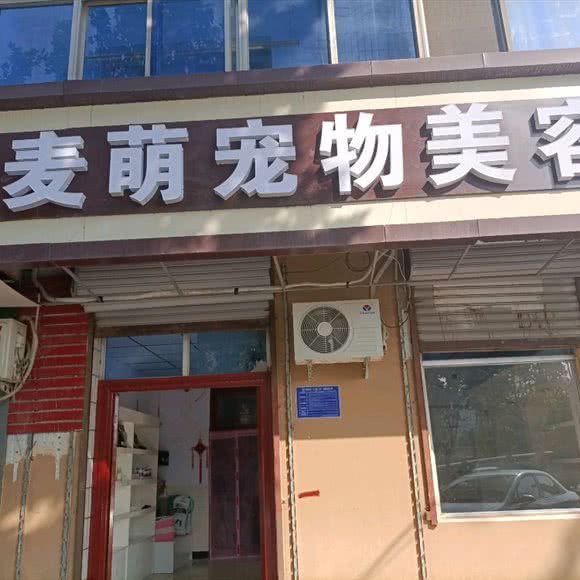 麦萌宠物美容:石家庄市晋州市
