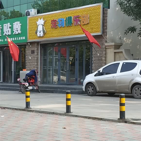 宠物俱乐部:石家庄市晋州市