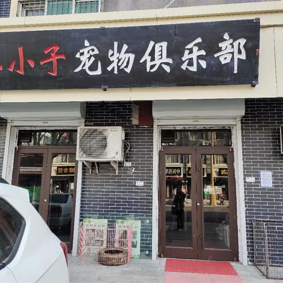 坏小子宠物俱乐部:石家庄市新乐市