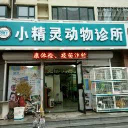 小精灵动物诊所:石家庄市新乐市